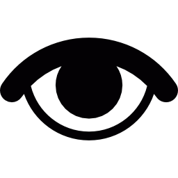 Eye stare icon