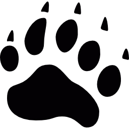 Bear pawprint icon