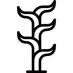 Aloe icon