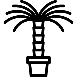 야자 나무 icon
