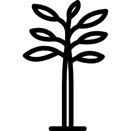 plantar Ícone
