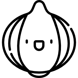 양파 icon