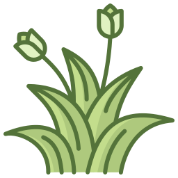 flora icona