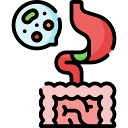 microbiota intestinale icona