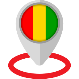 기니 icon