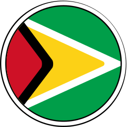 guyana icon