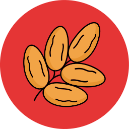 Date icon