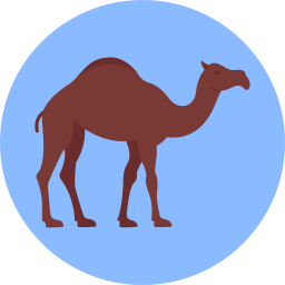 Dromedary icon