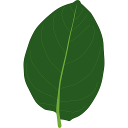 Plant icon