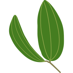 Plant icon