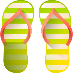 flip flops icon