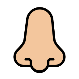 Nose icon