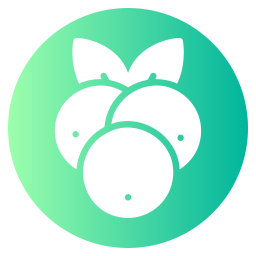 크랜베리 icon