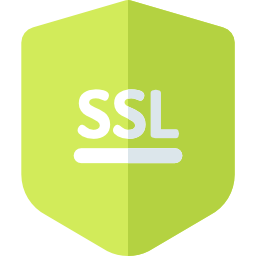 ssl icon