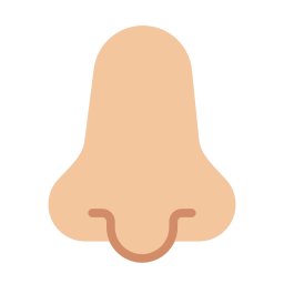 Nose icon