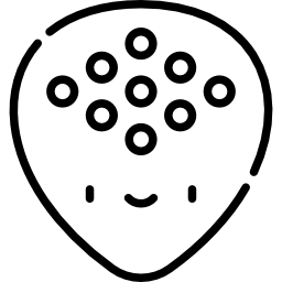 Plectrum icon