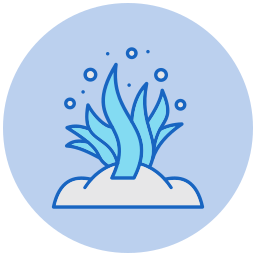 Seaweed icon