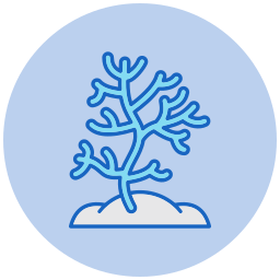 Coral icon