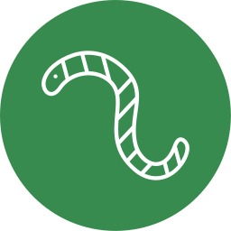 Worms icon