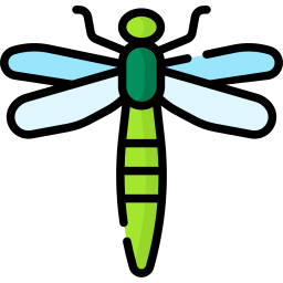 libellula icona