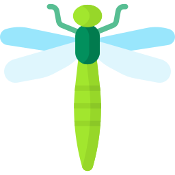 Dragonfly icon