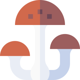 champignon Icône