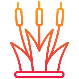 Reeds icon