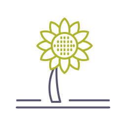 sonnenblume icon