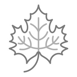 Maple leaf icon