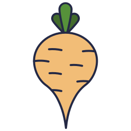 Radish icon