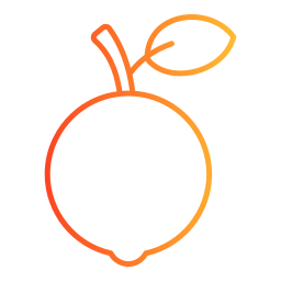 orange icon