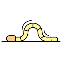 Worm icon