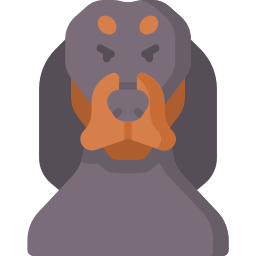 coonhound icoon
