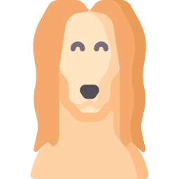 Afghan Hound icon