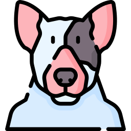 bull terrier icona