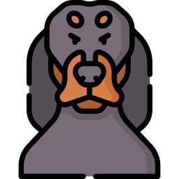 coonhound Ícone