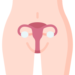 Uterus icon