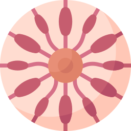 glándula mamaria icono