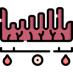 endometrium ikona