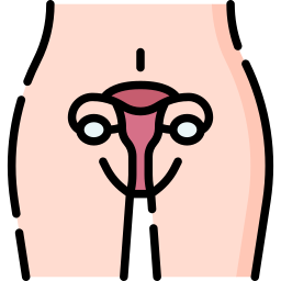 Uterus icon