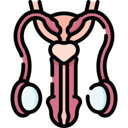 Репродуктивная система иконка