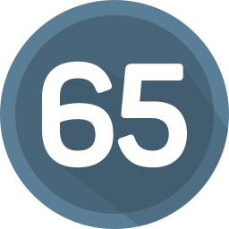 65 Ícone