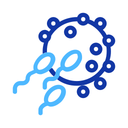 Embryology icon