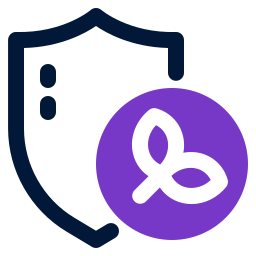 Secure icon