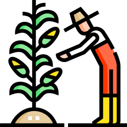 Harvest icon