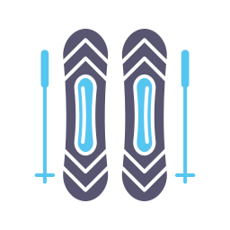 Ski sticks icon