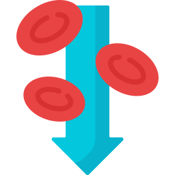 빈혈증 icon