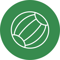 wasserball icon