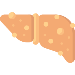 Fatty liver icon