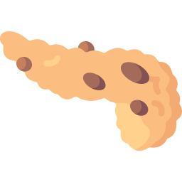 pancreas necrotico icona
